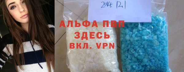 стаф Осинники