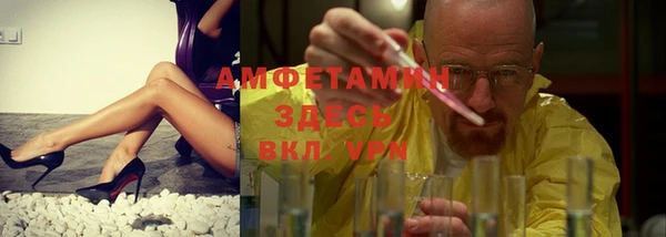стаф Осинники