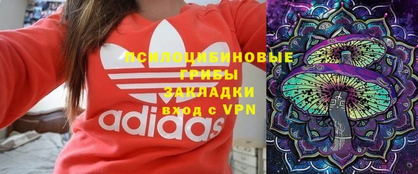 стаф Осинники