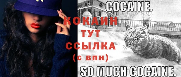 не бодяженный Осташков