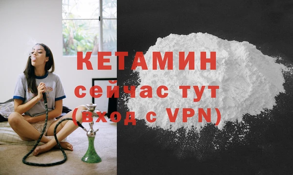 стаф Осинники