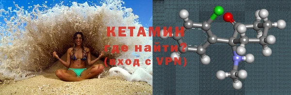 стаф Осинники