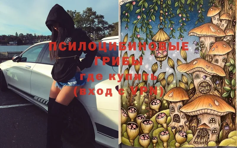 Галлюциногенные грибы Magic Shrooms  как найти закладки  Кольчугино 