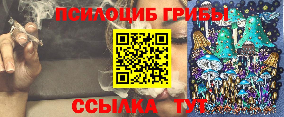 Галлюциногенные грибы Cubensis  купить закладку  Кольчугино 