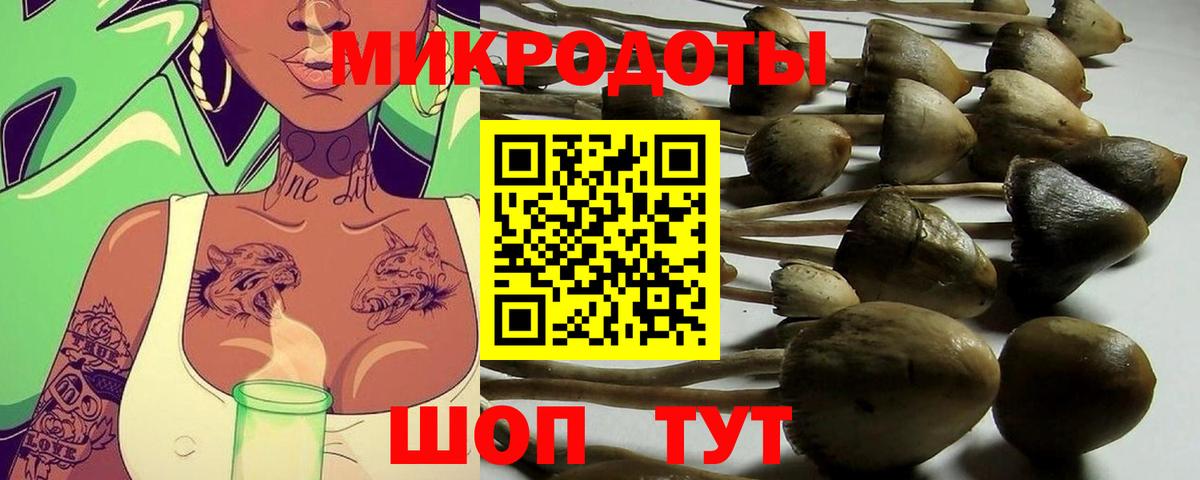 Галлюциногенные грибы мицелий Кольчугино